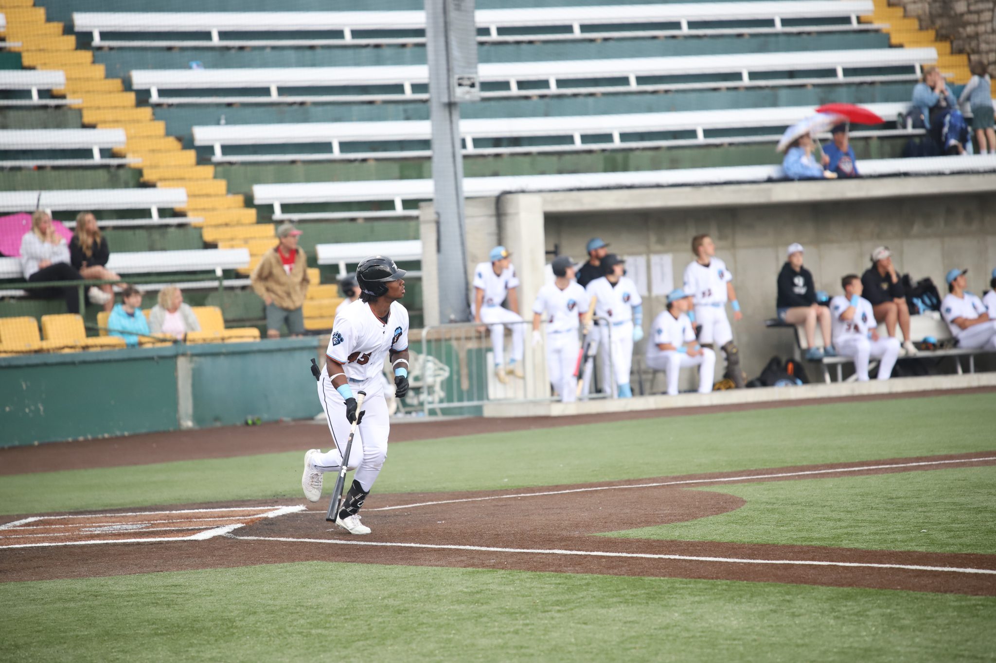 Late Surge Not Enough as Bees Defeat Paddlers