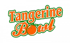 Bleigh Ready Mix Outfield Banner 7x12 (17)